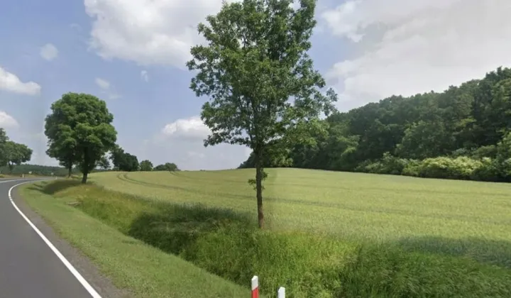 Działka inwestycyjna Sady Dolne