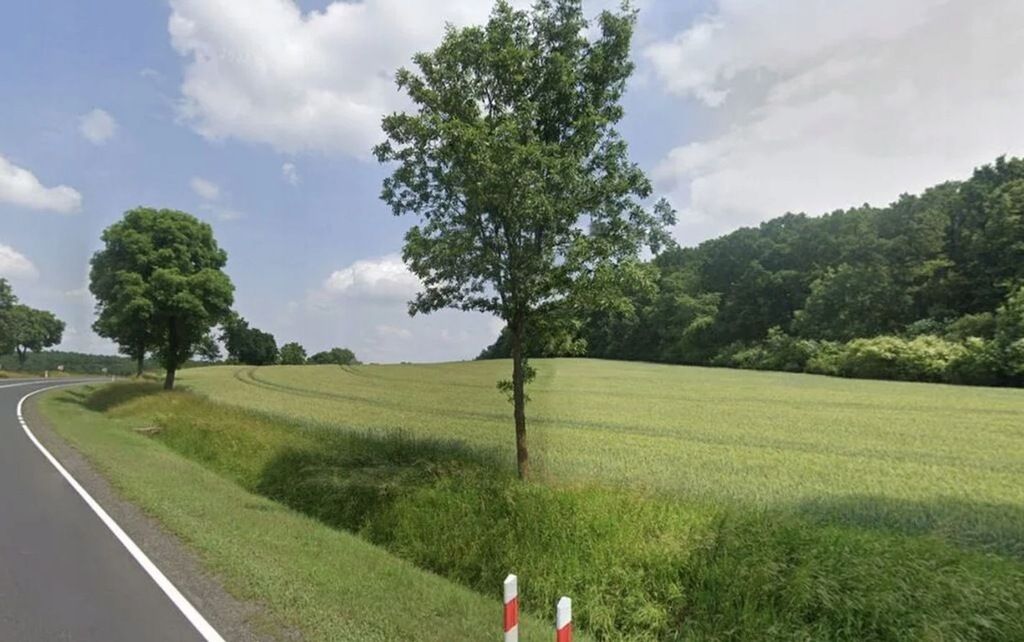 Działka inwestycyjna Sady Dolne. Zdjęcie 1