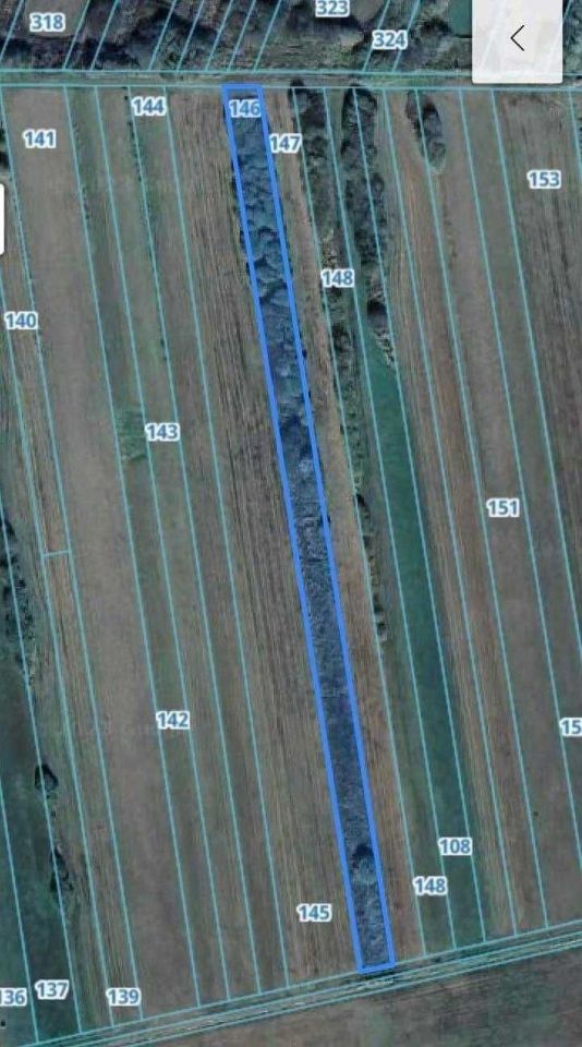 Działka rolna Siemcichy. Zdjęcie 3