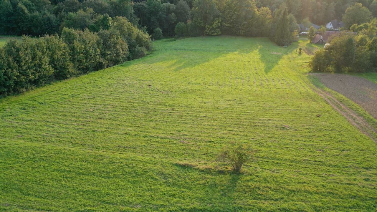 Działka rolna Szymbark. Zdjęcie 7