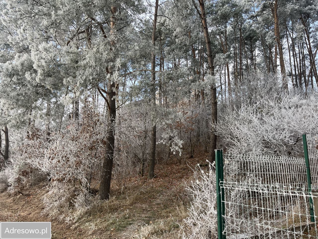 Działka rekreacyjna Łubiana. Zdjęcie 6