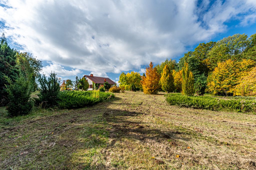 dom wolnostojący, 3 pokoje Borówki. Zdjęcie 13