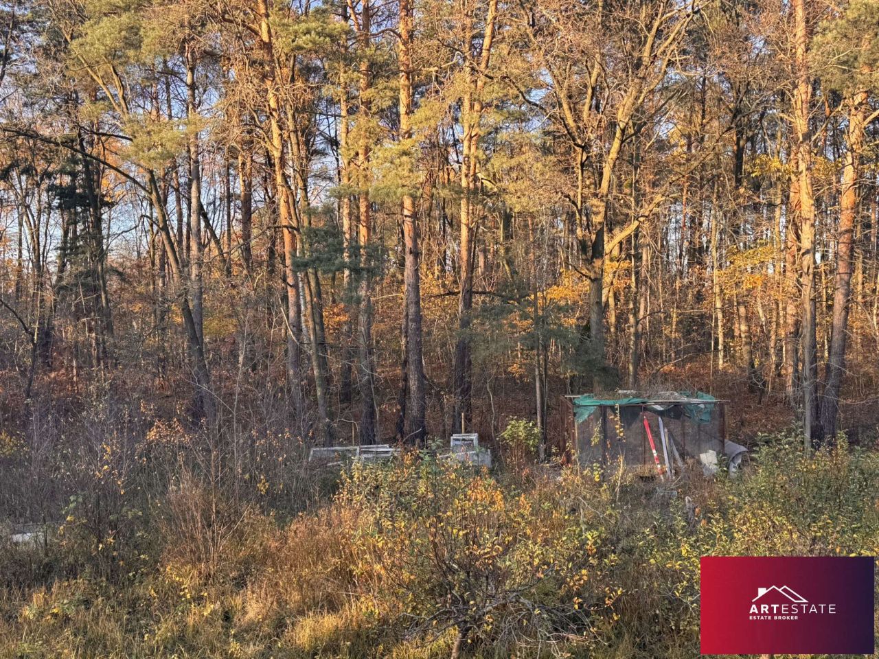 Działka budowlana Rąbień, ul. Rojna. Zdjęcie 5