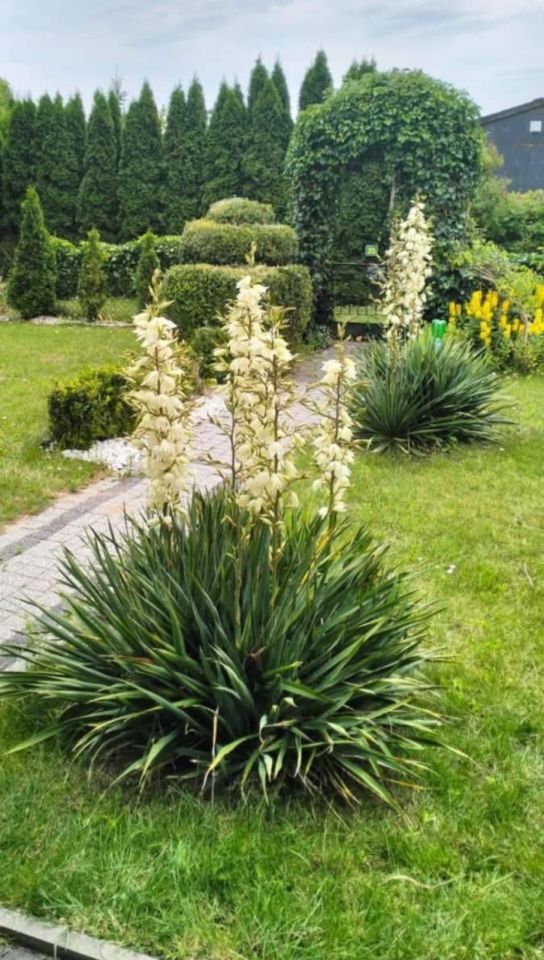 Działka rod Włocławek. Zdjęcie 6