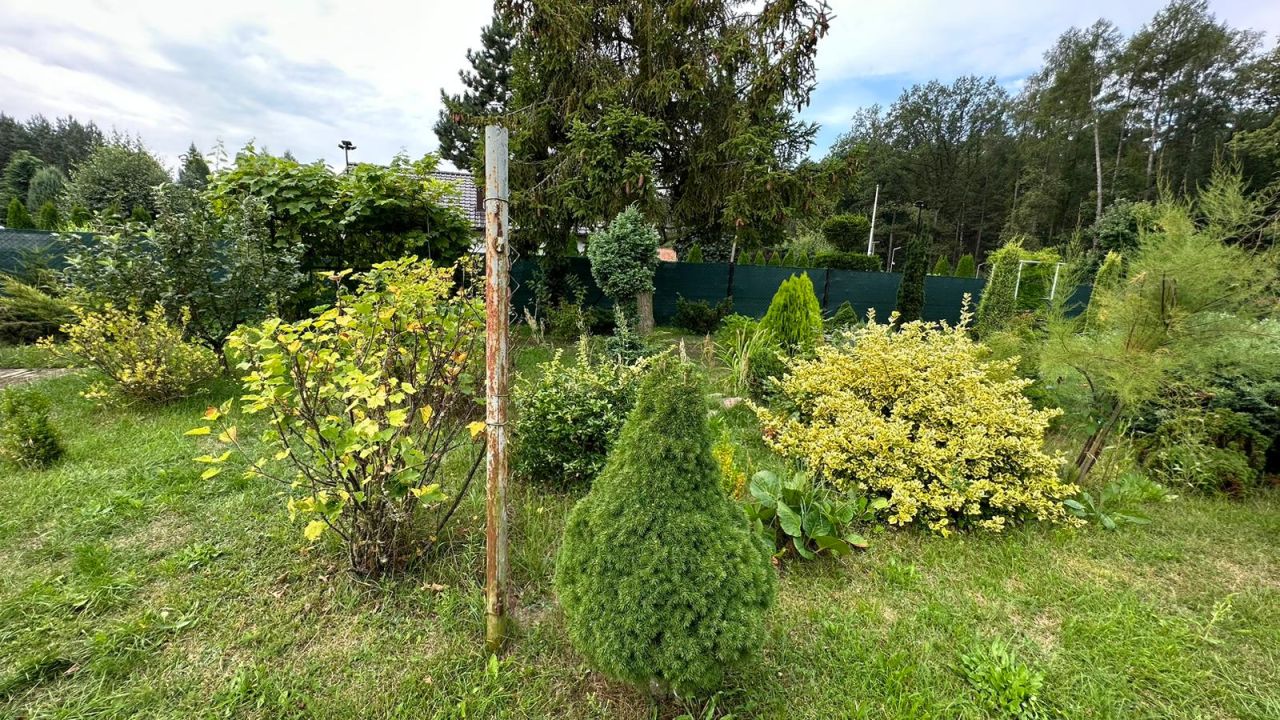 Działka budowlana Świerczyna. Zdjęcie 29