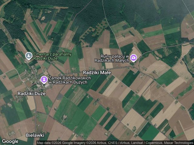 Działka leśna Radziki Małe. Zdjęcie 1