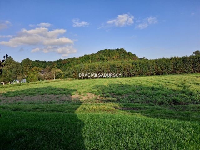 Działka rolna Polekarcice. Zdjęcie 4