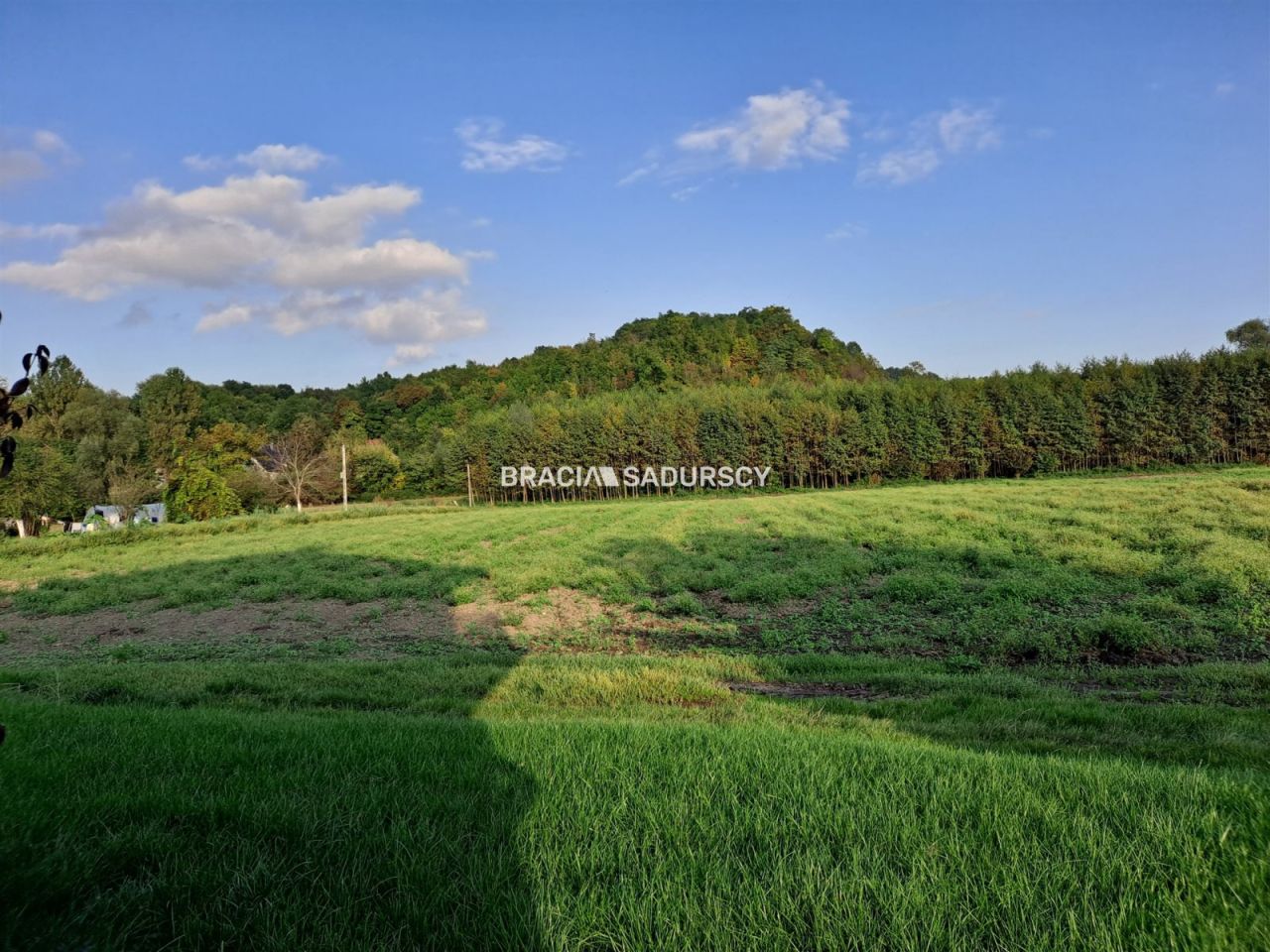 Działka rolna Polekarcice. Zdjęcie 4