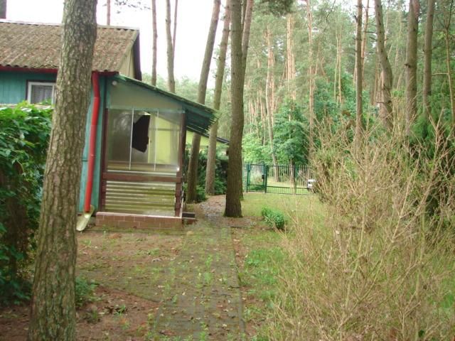 Działka leśna Lublin Zemborzyce, ul. Roślinna. Zdjęcie 1