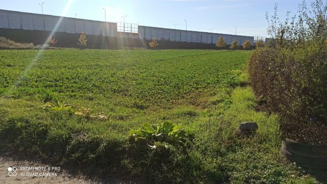 Działka budowlana Dąbrowa. Zdjęcie 1