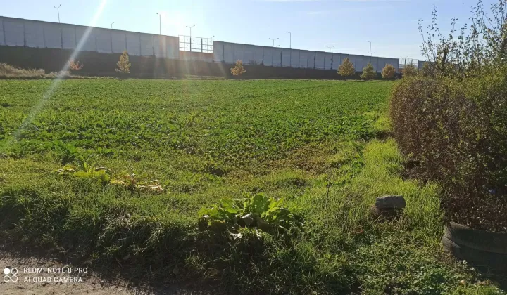 Działka budowlana Dąbrowa