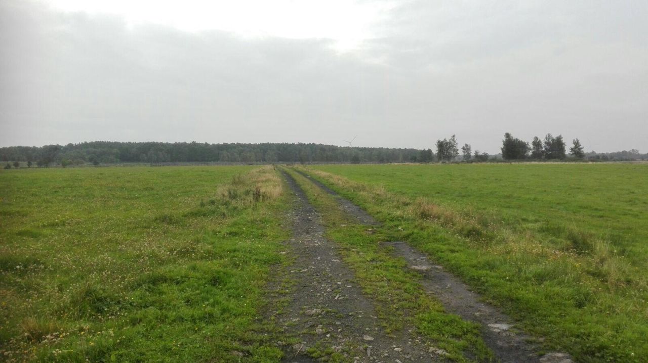 Działka rolna Krupy. Zdjęcie 3