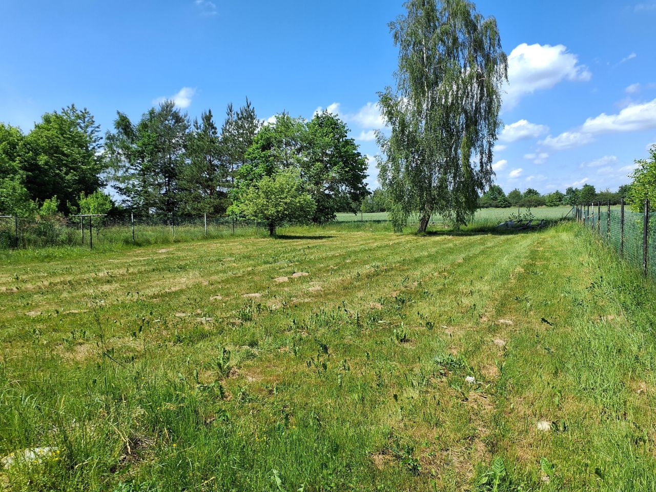 Działka rolna Gruszczyn, Gruszczyn. Zdjęcie 8