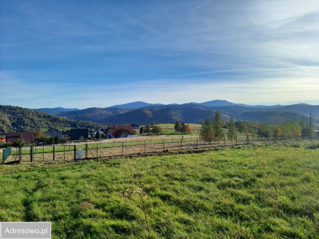 Działka rolno-budowlana Rychwałdek, ul. Równa. Zdjęcie 1