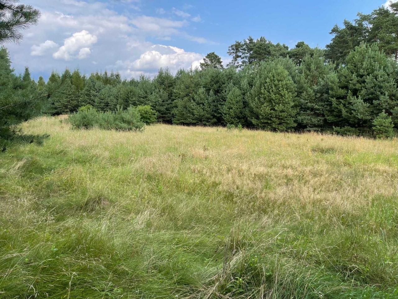 Działka budowlana Zielona Góra Chynów