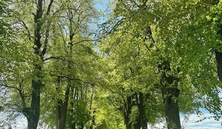Działka budowlana Nasutów
