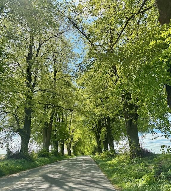 Działka budowlana Nasutów