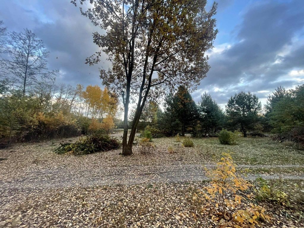 Działka budowlana Konary. Zdjęcie 2