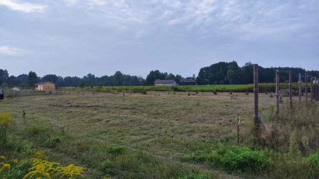 Działka budowlana Jadwisin. Zdjęcie 1