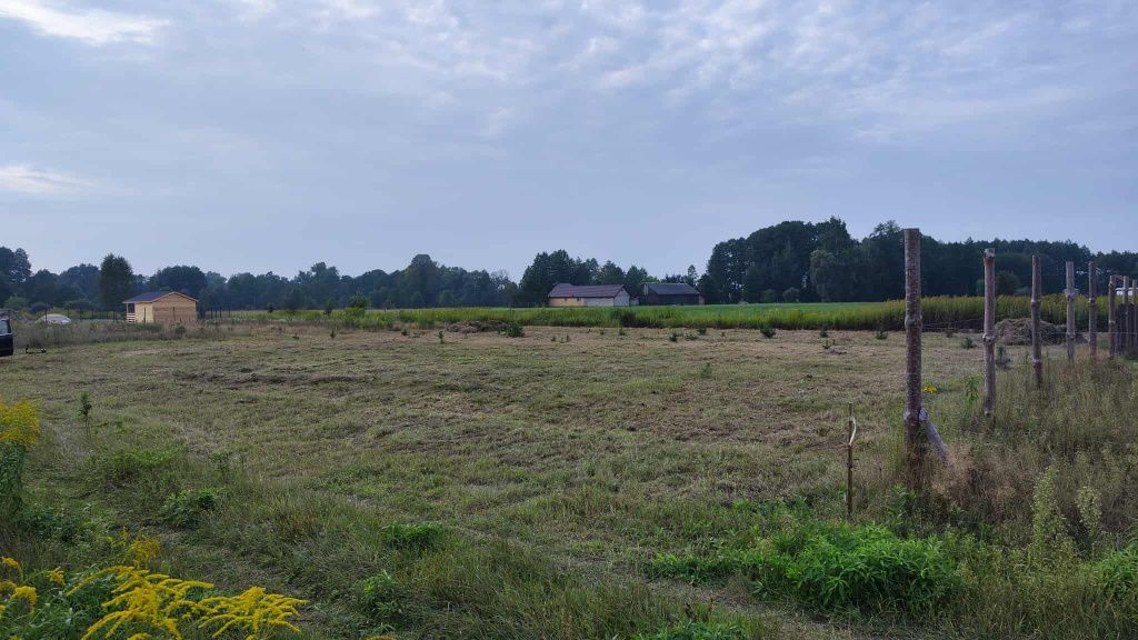 Działka budowlana Jadwisin. Zdjęcie 1