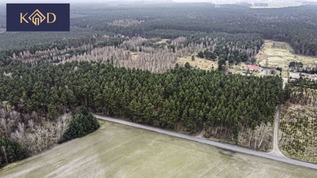 Działka inwestycyjna Dąbrowa Nowa. Zdjęcie 7