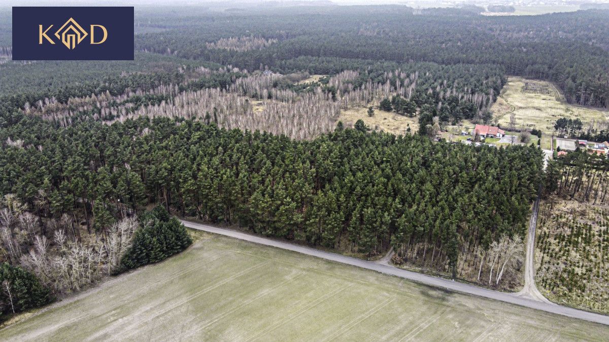 Działka inwestycyjna Dąbrowa Nowa. Zdjęcie 7