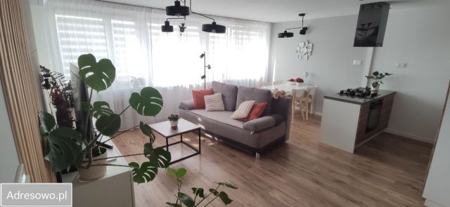 Mieszkanie 2-pokojowe Legnica, ul. Stanisława Moniuszki. Zdjęcie 1