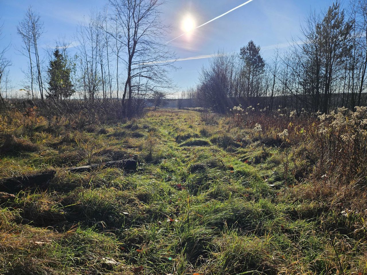 Działka rolno-budowlana Ostrowy Baranowskie. Zdjęcie 4