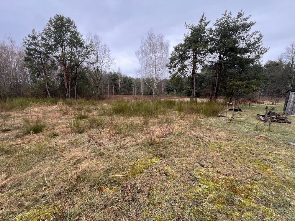 Działka budowlana Wilczanka. Zdjęcie 8