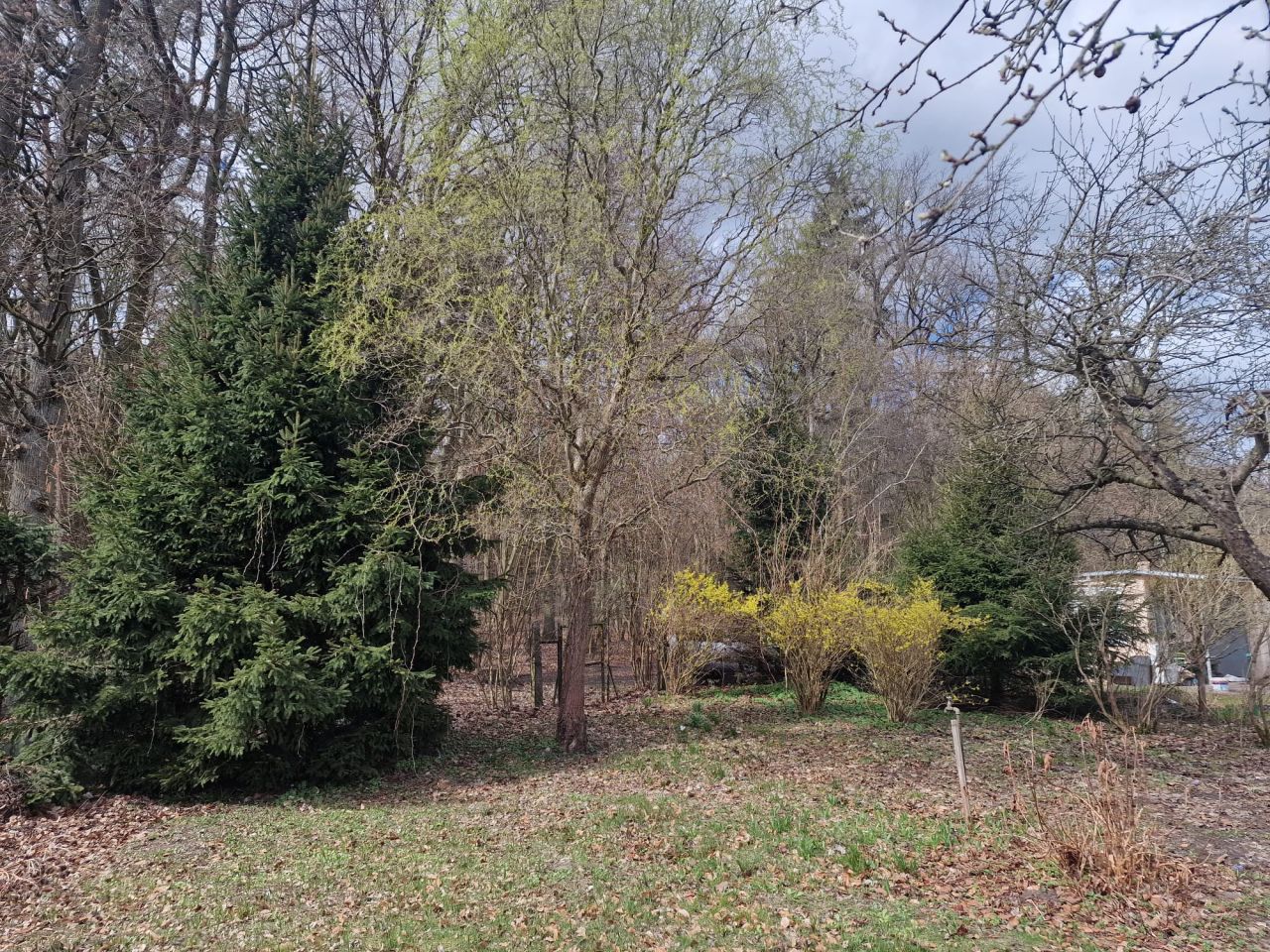 Działka rod Goleniów, ul. Ogrodowa. Zdjęcie 3