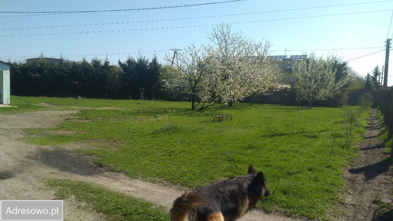 Działka inwestycyjna Poddębice, ul. Targowa. Zdjęcie 2