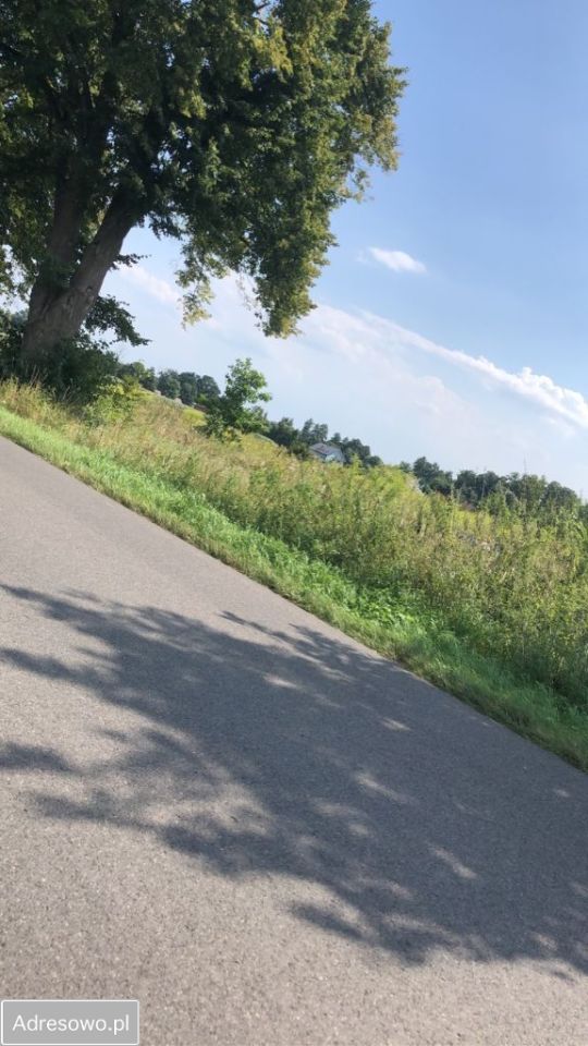 Działka rolna Helenków. Zdjęcie 2