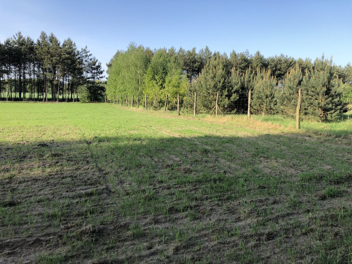 Działka siedliskowa Komorówko. Zdjęcie 2