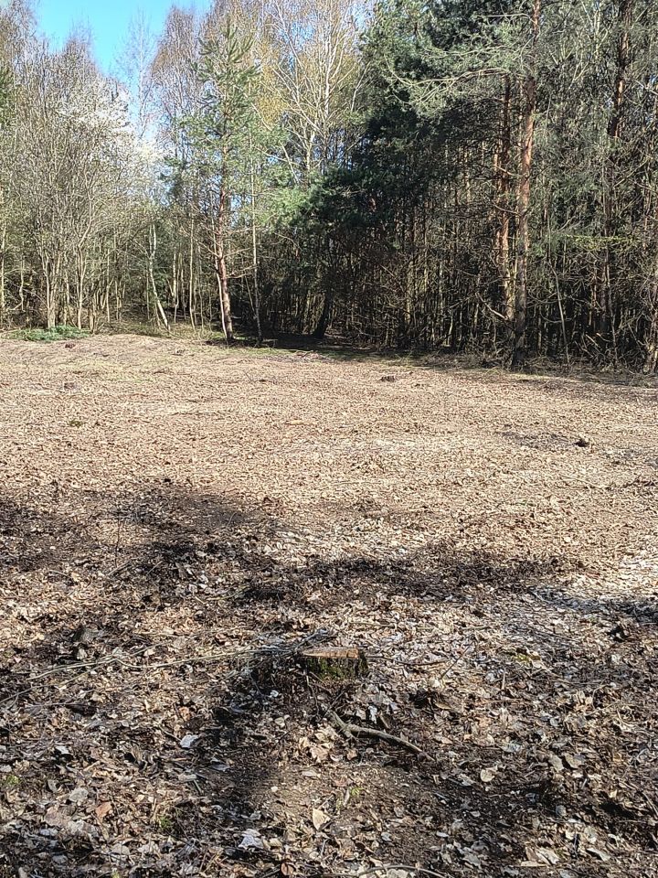 Działka rolno-budowlana Tarło-Kolonia. Zdjęcie 1