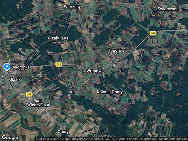 Działka leśna Wronów. Zdjęcie 1