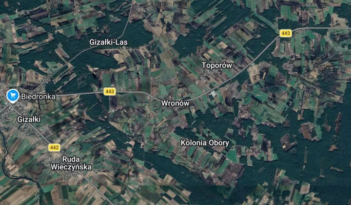 Działka leśna Wronów