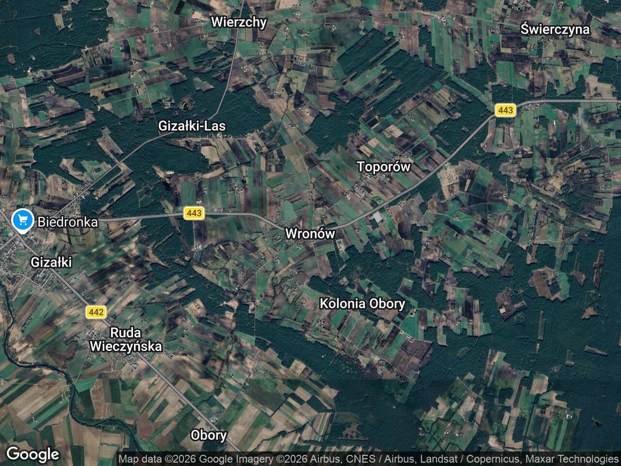 Działka leśna Wronów. Zdjęcie 1