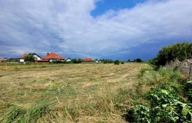 Działka rolna Lubczyna. Zdjęcie 2