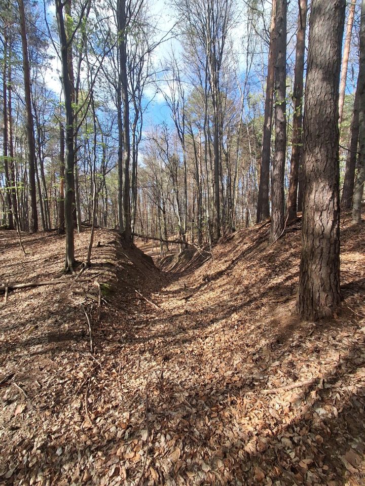 Działka leśna Lipnica Dolna, BRAK. Zdjęcie 1