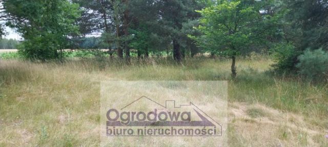 Działka siedliskowa Nowy Kębłów. Zdjęcie 2