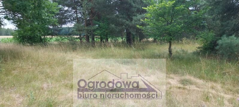 Działka siedliskowa Nowy Kębłów. Zdjęcie 2