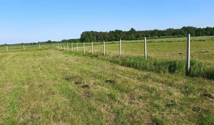 Działka rolna Łabiszyn
