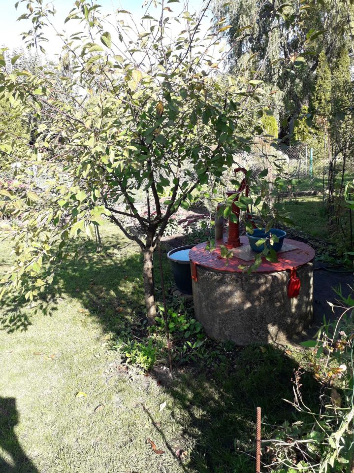 Działka rod Opole. Zdjęcie 4