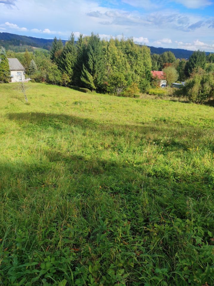 Działka siedliskowa Golcowa. Zdjęcie 9