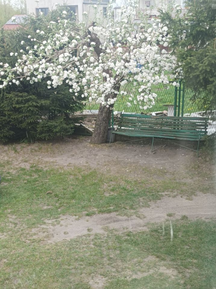 Mieszkanie 3-pokojowe Wałcz, ul. Żeromskiego. Zdjęcie 7