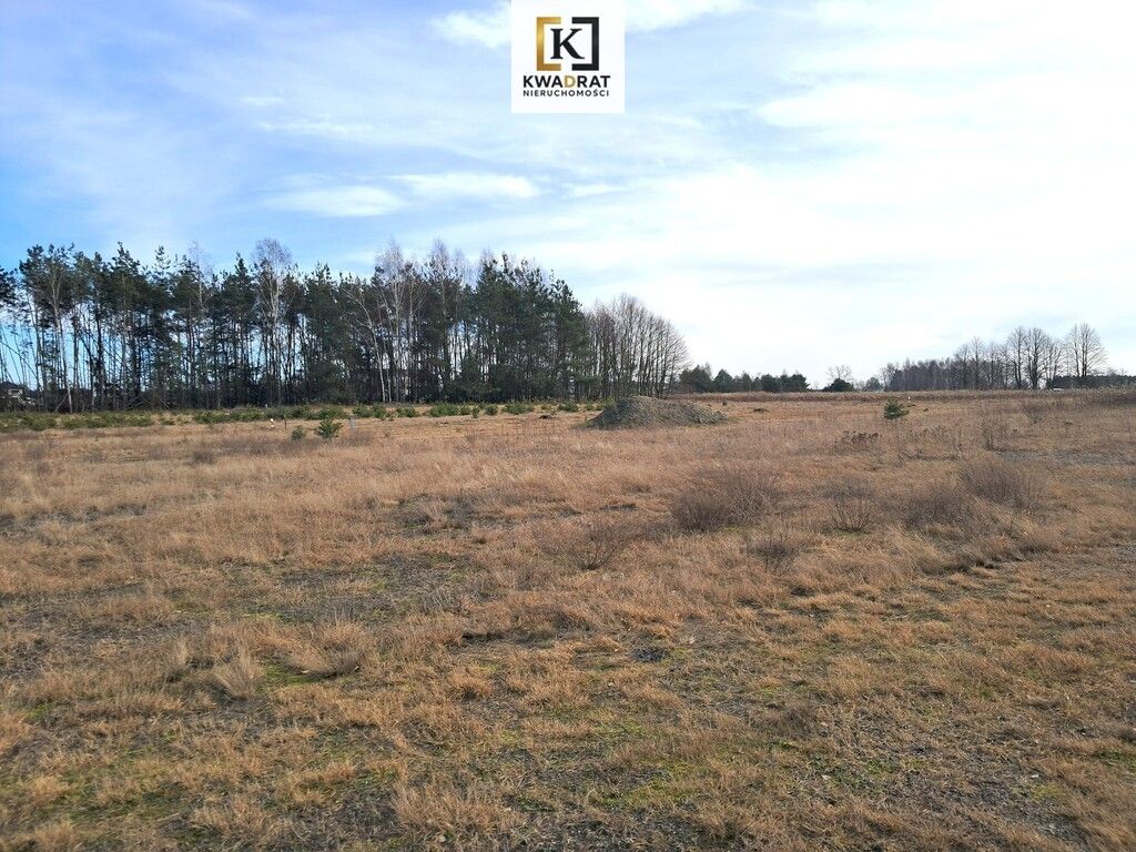 Działka budowlana Leontyna, ul. Strażacka. Zdjęcie 2