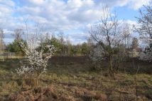 Działka budowlana Tymianka. Zdjęcie 2