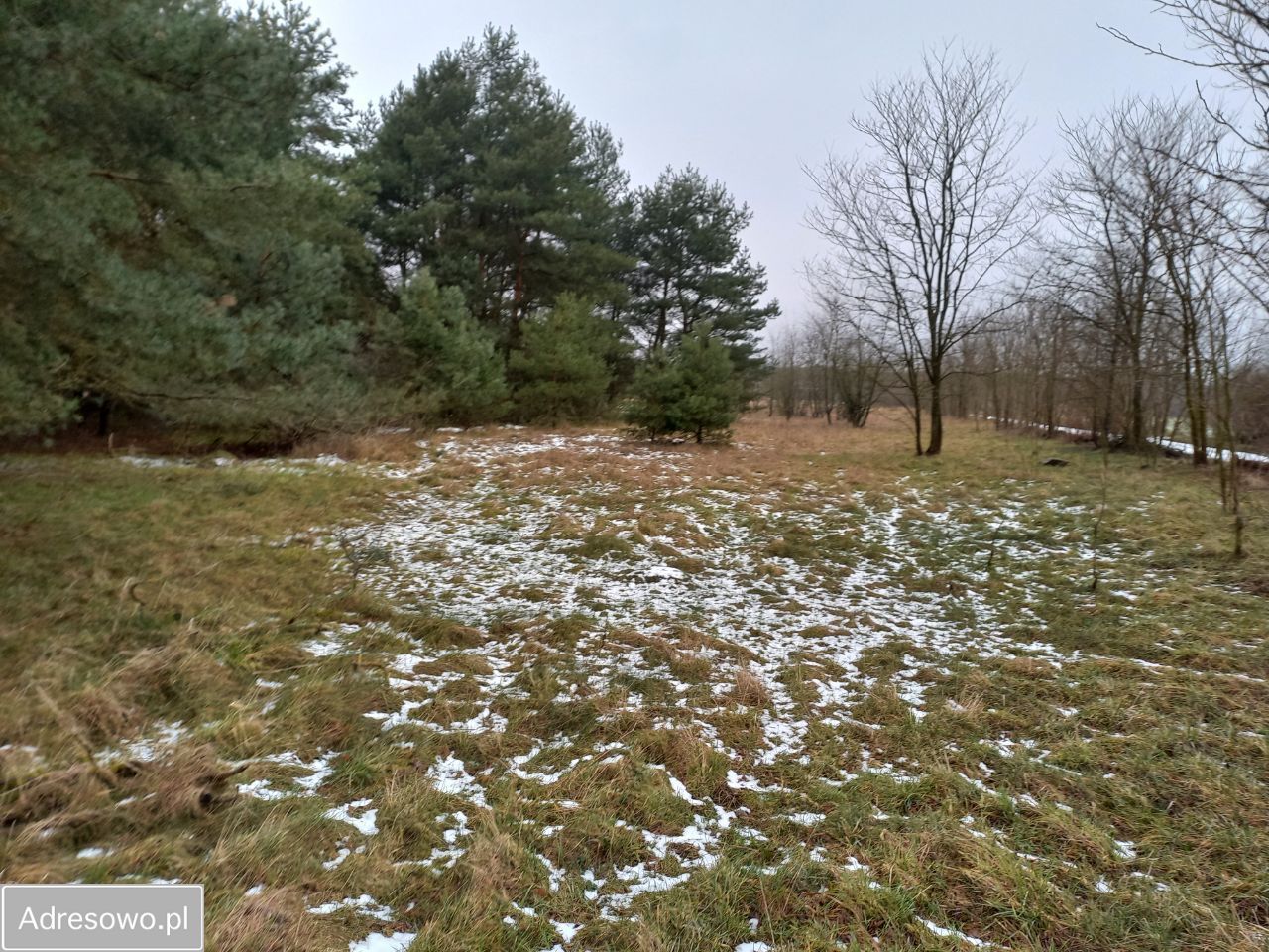 Działka budowlana Laskowo. Zdjęcie 2