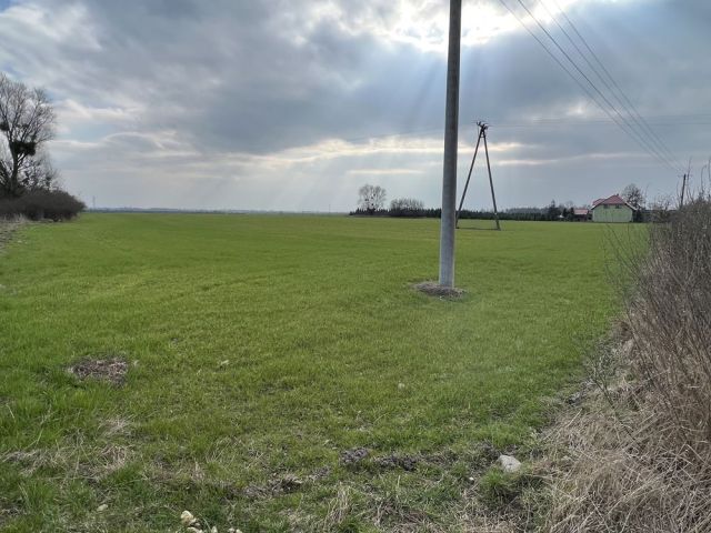 Działka budowlana Drzęczewo Pierwsze. Zdjęcie 1