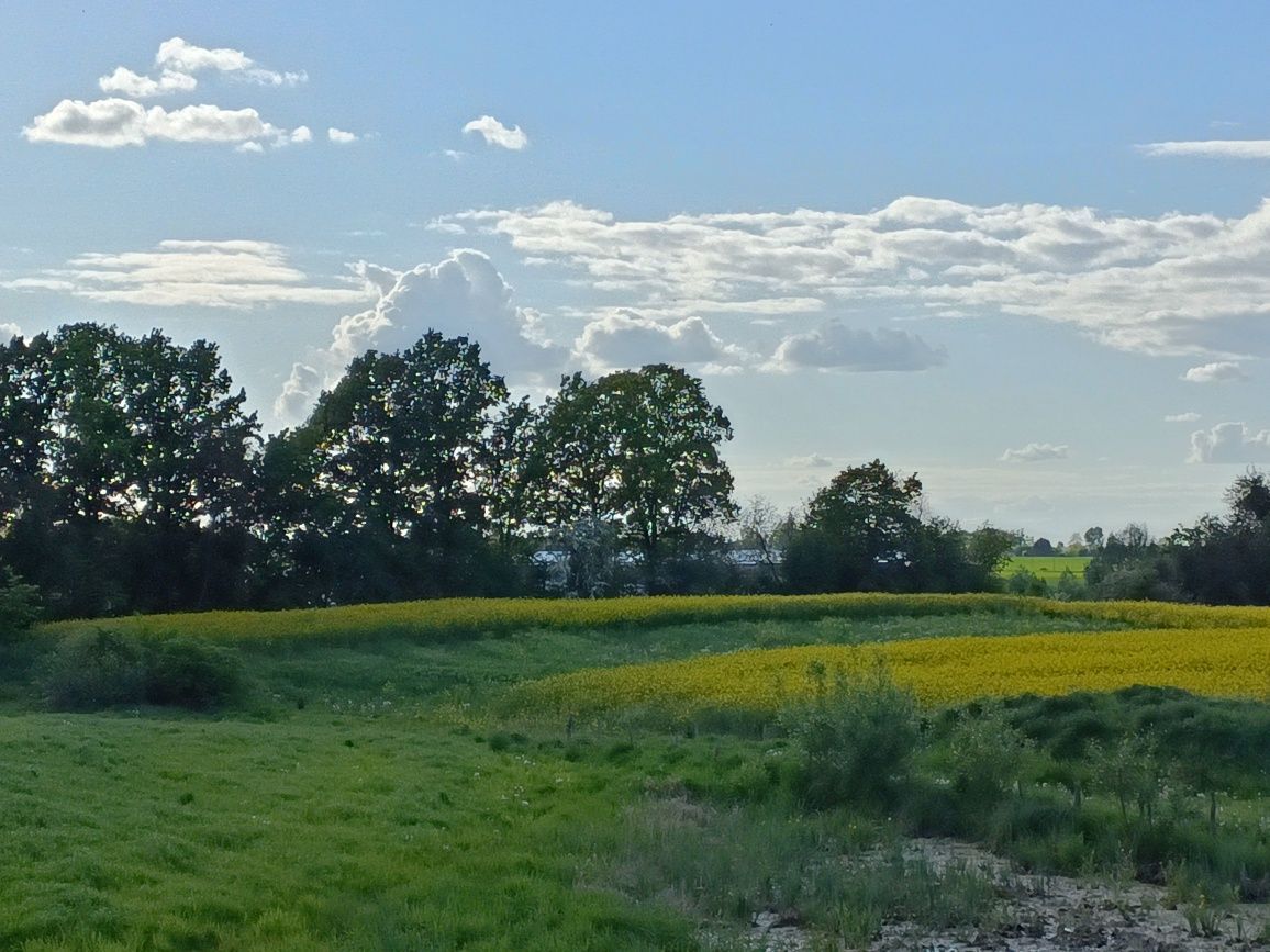 Działka budowlana Świdry. Zdjęcie 7